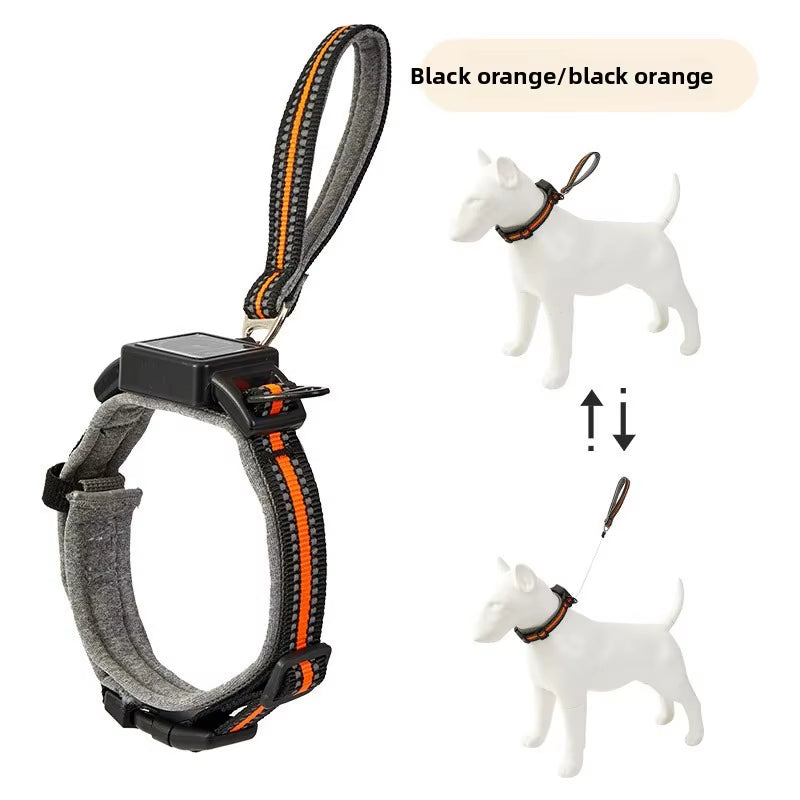 One Piece Dog Collar with Retractable Steel Rope Pet Collar Wearable Automatic Retractable Traction Rope