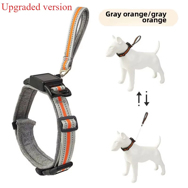 One Piece Dog Collar with Retractable Steel Rope Pet Collar Wearable Automatic Retractable Traction Rope