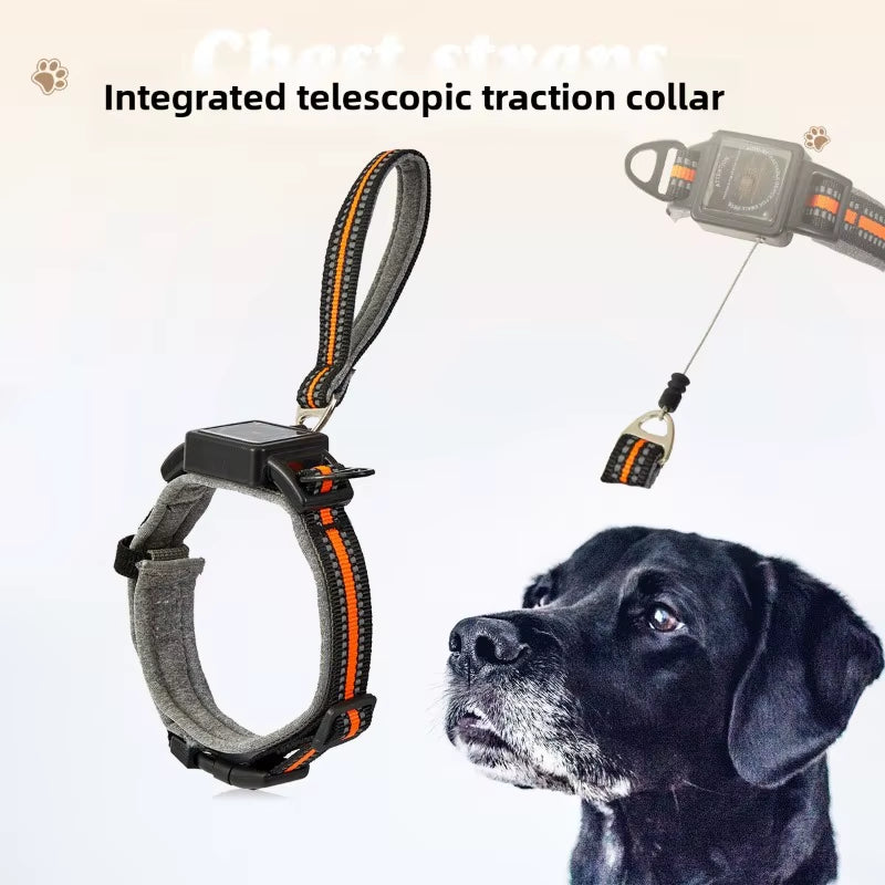One Piece Dog Collar with Retractable Steel Rope Pet Collar Wearable Automatic Retractable Traction Rope