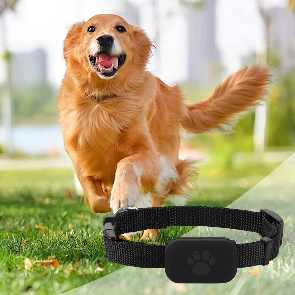 Smart Pet Locator with Adjustable Collar for Dogs and Cats