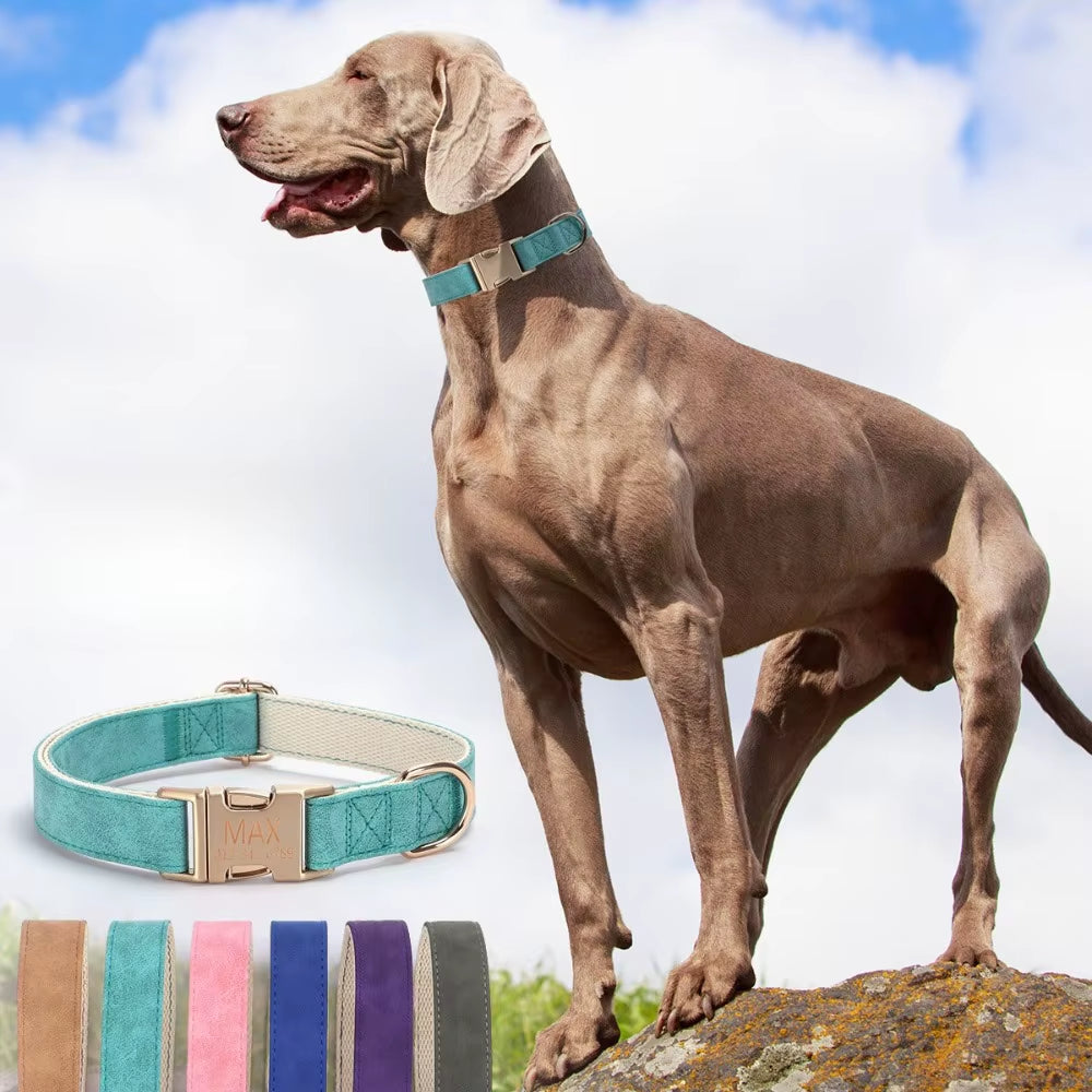 PU High-End Pet Collar Small Medium and Large Dog anti Loss Cotton Strap Dog Chain Can Be Customized for Free Carving